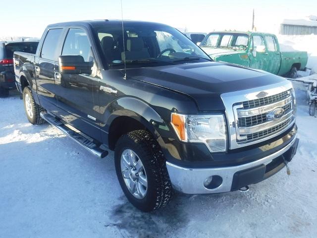 1FTFW1ET9DKF76004 - 2013 FORD F150 SUPER BLACK photo 1