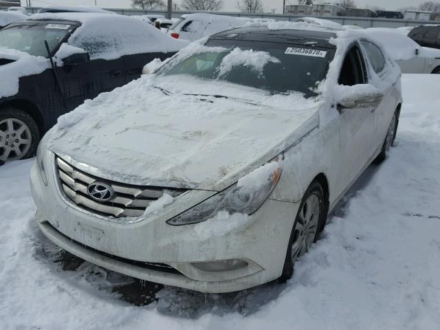 5NPEC4AC4DH727616 - 2013 HYUNDAI SONATA SE WHITE photo 2