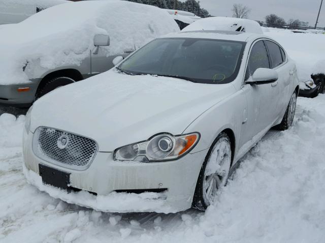 SAJWA0GB4BLR97358 - 2011 JAGUAR XF PREMIUM WHITE photo 2