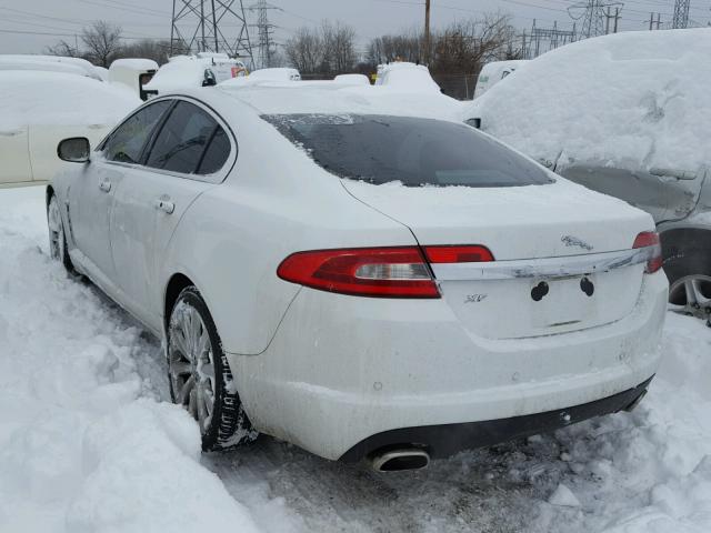 SAJWA0GB4BLR97358 - 2011 JAGUAR XF PREMIUM WHITE photo 3