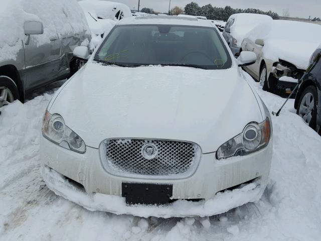 SAJWA0GB4BLR97358 - 2011 JAGUAR XF PREMIUM WHITE photo 9