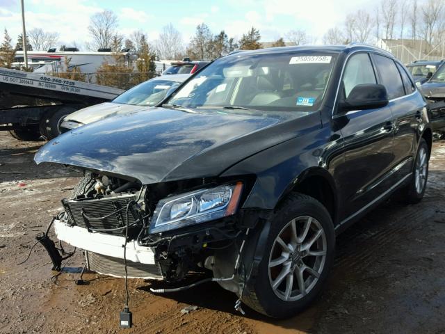 WA1CKAFPXAA023258 - 2010 AUDI Q5 PREMIUM BLACK photo 2