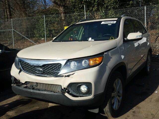 5XYKU4A2XBG042760 - 2011 KIA SORENTO EX WHITE photo 2