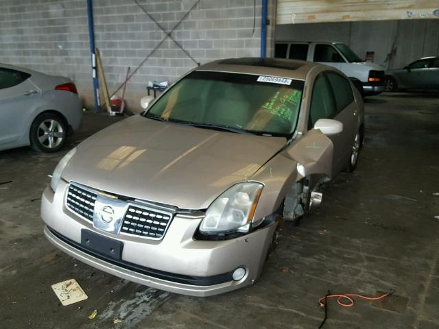 1N4BA41E56C831093 - 2006 NISSAN MAXIMA SE GOLD photo 2