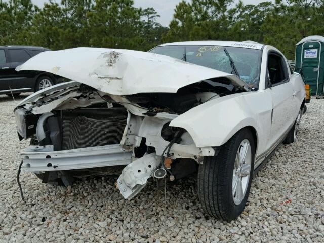 1ZVBP8AM6B5168717 - 2011 FORD MUSTANG WHITE photo 2