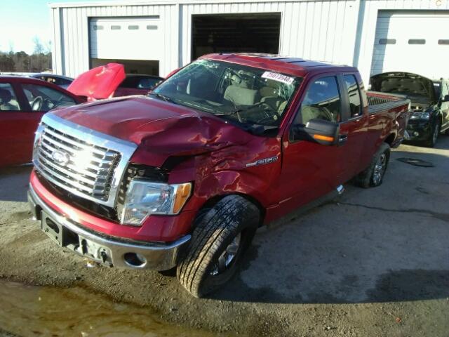 1FTFX1EV5AFD01359 - 2010 FORD F150 SUPER RED photo 2