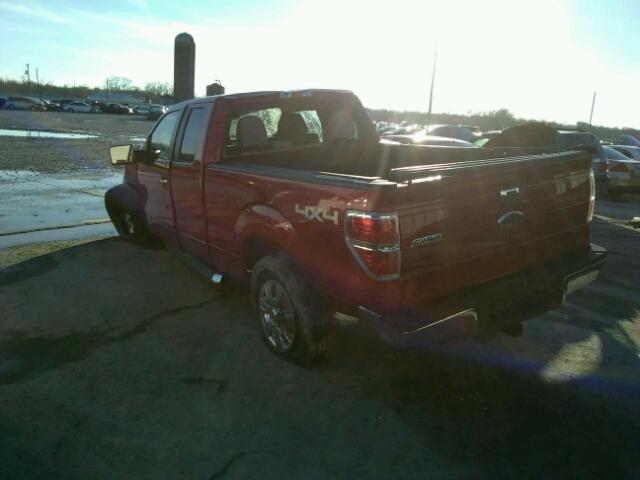 1FTFX1EV5AFD01359 - 2010 FORD F150 SUPER RED photo 3