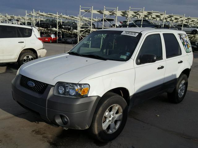 1FMYU03176KC24371 - 2006 FORD ESCAPE XLT WHITE photo 2