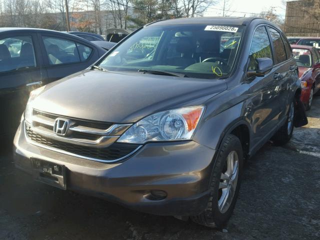 5J6RE4H73AL018925 - 2010 HONDA CR-V EXL GRAY photo 2