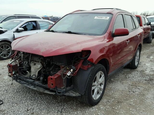 5XYZK4AG9BG040109 - 2011 HYUNDAI SANTA FE L RED photo 2