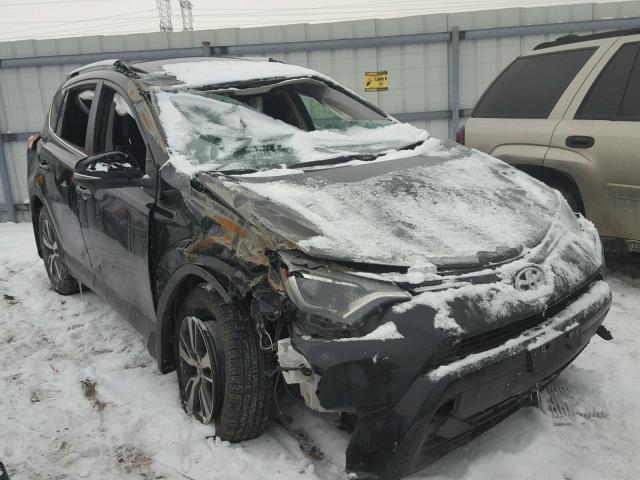 2T3RFREVXGW504690 - 2016 TOYOTA RAV4 XLE BLACK photo 1