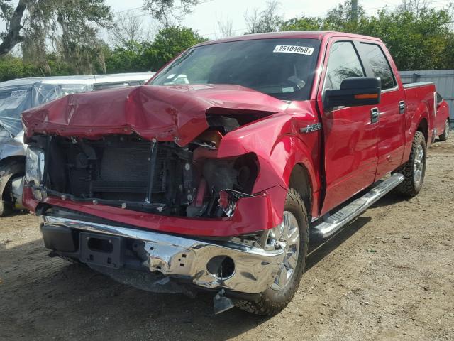 1FTEW1CM5BFA50899 - 2011 FORD F150 SUPER RED photo 2