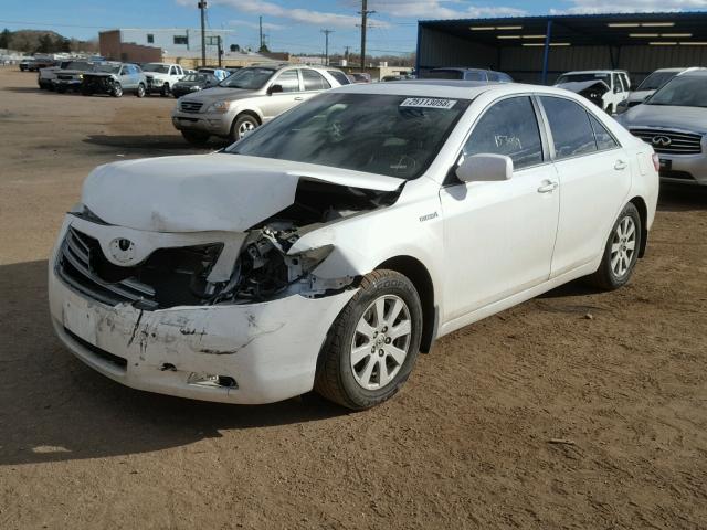 4T1BB46K18U034967 - 2008 TOYOTA CAMRY HYBR WHITE photo 2