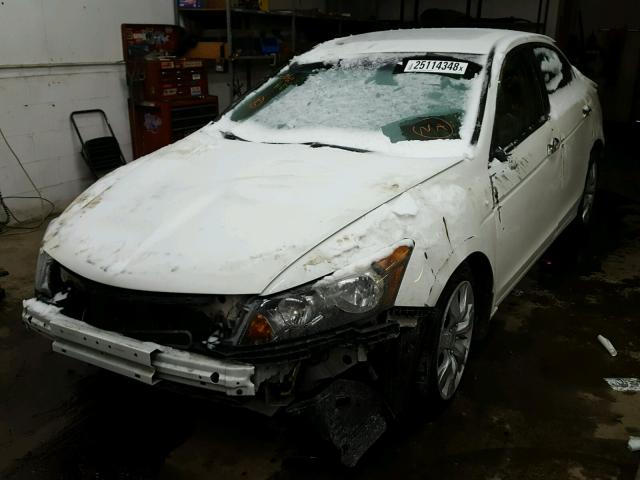 1HGCP36889A011554 - 2009 HONDA ACCORD EXL WHITE photo 2