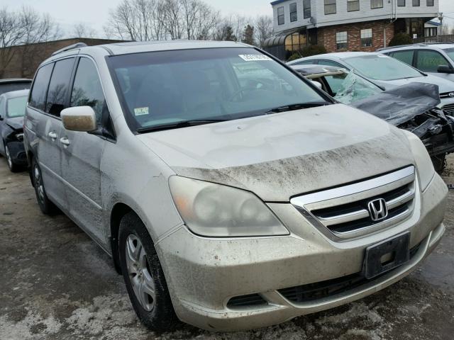 5FNRL38645B026649 - 2005 HONDA ODYSSEY EX TAN photo 1