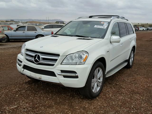 4JGBF2FE2AA600659 - 2010 MERCEDES-BENZ GL 350 BLU WHITE photo 2