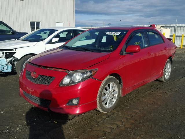 2T1BU40E79C004856 - 2009 TOYOTA COROLLA BA RED photo 2