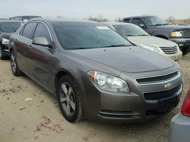 1G1ZC5EU3BF299046 - 2011 CHEVROLET MALIBU 1LT 棕色 照片 1