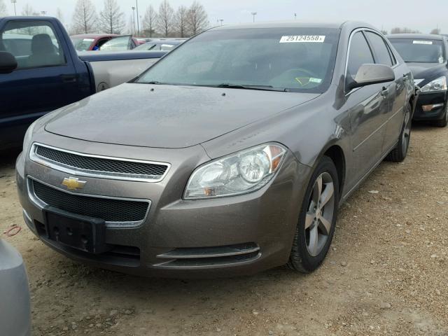1G1ZC5EU3BF299046 - 2011 CHEVROLET MALIBU 1LT 棕色 照片 2