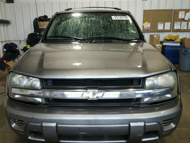 1GNDS13S252305632 - 2005 CHEVROLET TRAILBLAZE GOLD photo 9