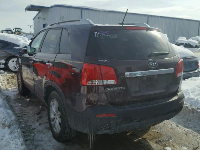 5XYKT4A26BG155401 - 2011 KIA SORENTO BA PURPLE photo 3