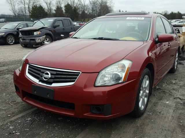 1N4BA41E38C827837 - 2008 NISSAN MAXIMA SE RED photo 2