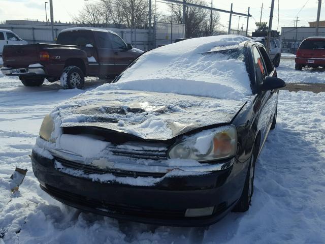 1G1ZU64825F100774 - 2005 CHEVROLET MALIBU MAX BLACK photo 2