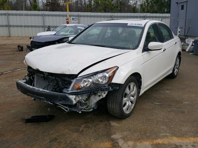 1HGCP36818A028548 - 2008 HONDA ACCORD EXL WHITE photo 2