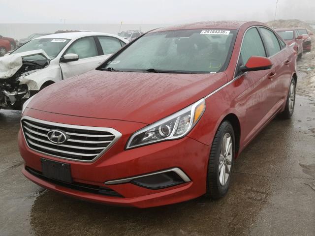 5NPE24AF8GH399702 - 2016 HYUNDAI SONATA SE RED photo 2