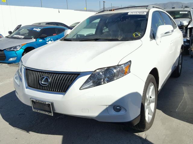 2T2ZK1BA1CC070190 - 2012 LEXUS RX 350 WHITE photo 2