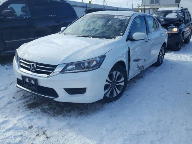 1HGCR2F34DA066570 - 2013 HONDA ACCORD LX WHITE photo 2