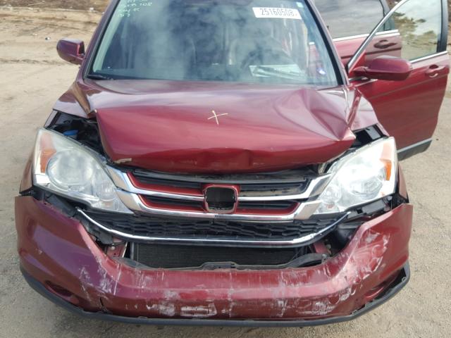 5J6RE3H71AL027925 - 2010 HONDA CR-V EXL RED photo 7