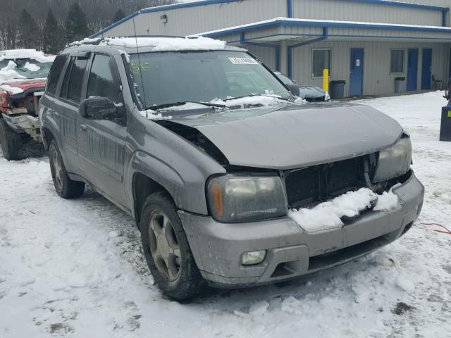 1GNDT13SX82146599 - 2008 CHEVROLET TRAILBLAZE GRAY photo 1