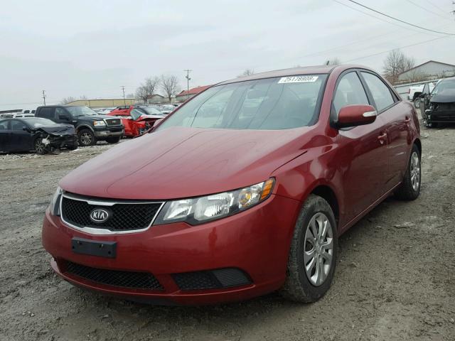 KNAFU4A24A5809735 - 2010 KIA FORTE EX RED photo 2