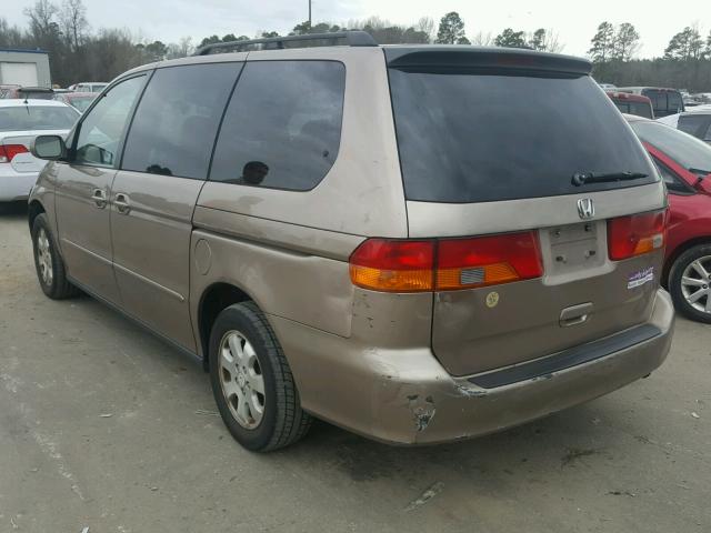 5FNRL18033B104139 - 2003 HONDA ODYSSEY EX TAN photo 3