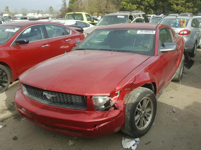 1ZVFT80N855159058 - 2005 FORD MUSTANG RED photo 2