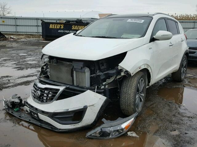 KNDPCCA68G7871840 - 2016 KIA SPORTAGE E WHITE photo 2