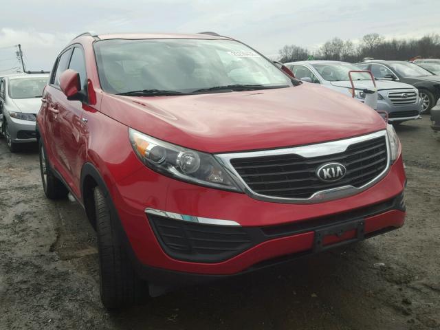 KNDPBCA27D7491335 - 2013 KIA SPORTAGE L RED photo 1