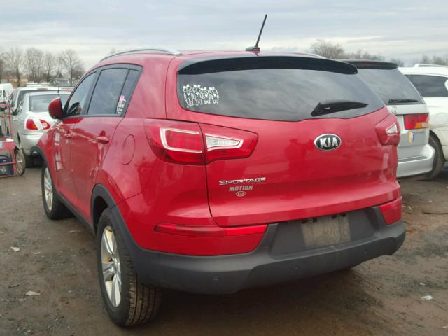 KNDPBCA27D7491335 - 2013 KIA SPORTAGE L RED photo 3