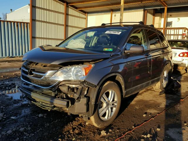 5J6RE4H77AL007281 - 2010 HONDA CR-V EXL GRAY photo 2