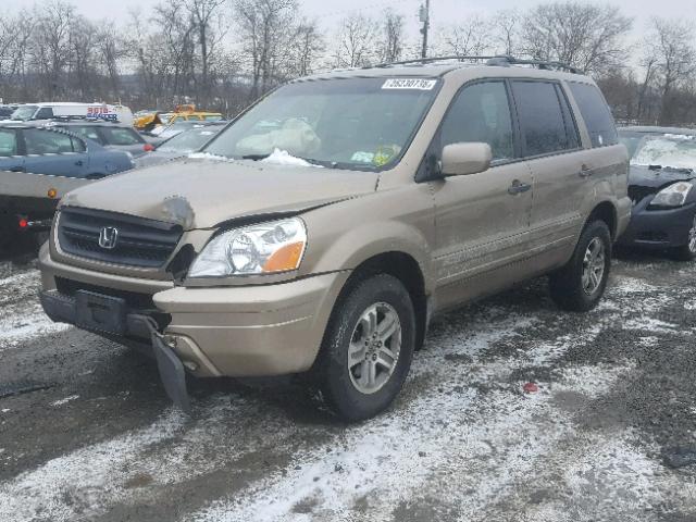 2HKYF18615H531783 - 2005 HONDA PILOT EXL GOLD photo 2