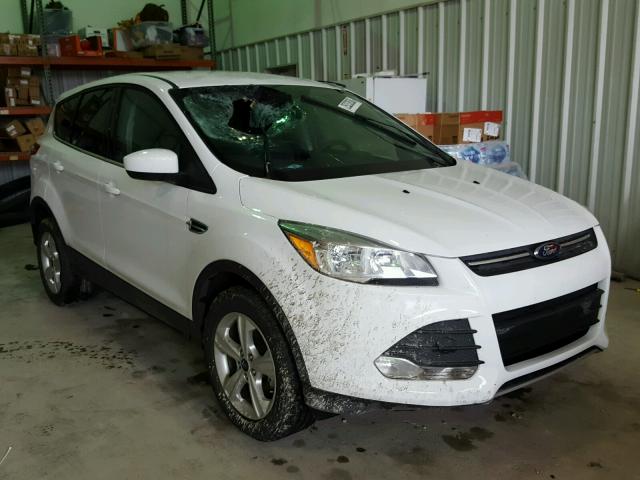 1FMCU0GX6GUC46067 - 2016 FORD ESCAPE SE WHITE photo 1