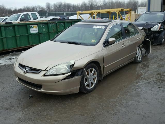 1HGCM66593A096296 - 2003 HONDA ACCORD EX GOLD photo 2