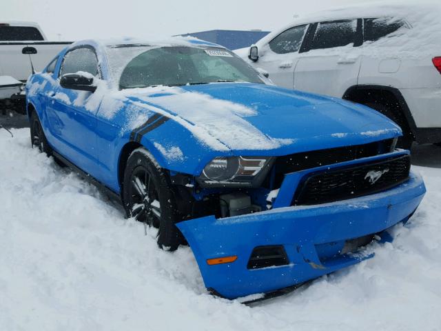 1ZVBP8AN5A5156274 - 2010 FORD MUSTANG BLUE photo 1