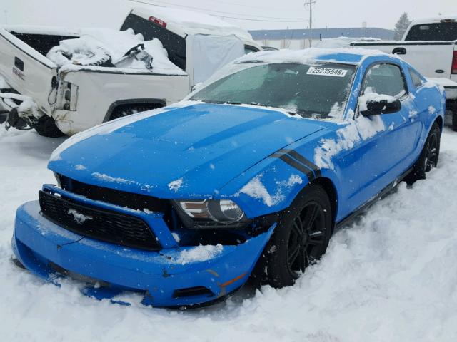 1ZVBP8AN5A5156274 - 2010 FORD MUSTANG BLUE photo 2