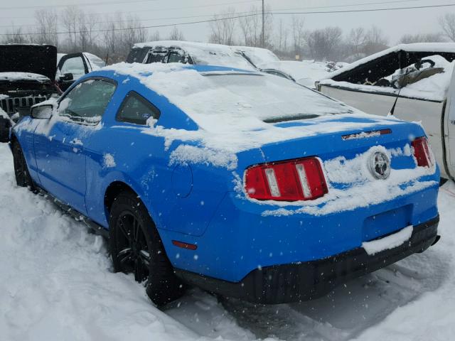 1ZVBP8AN5A5156274 - 2010 FORD MUSTANG BLUE photo 3