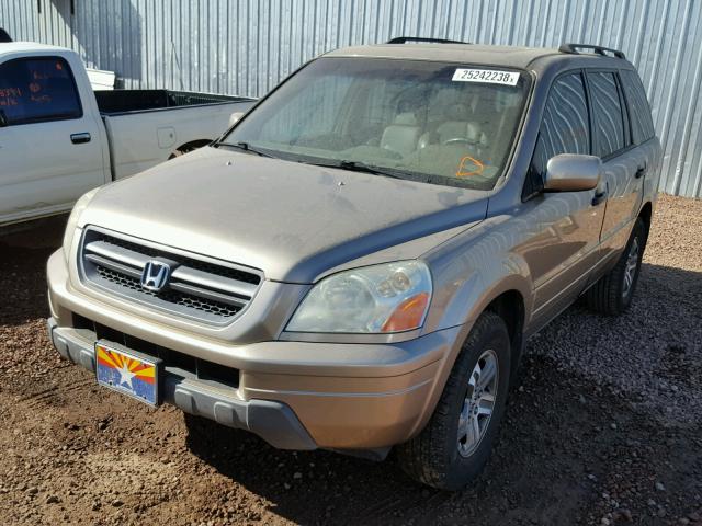 5FNYF18575B056453 - 2005 HONDA PILOT EXL TAN photo 2