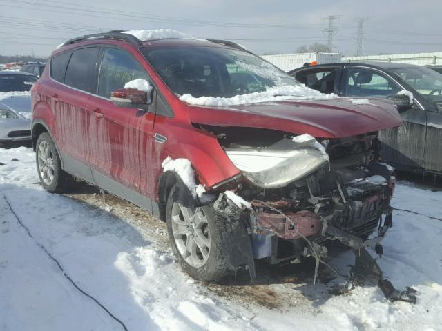 1FMCU9HXXDUA24369 - 2013 FORD ESCAPE SEL RED photo 1