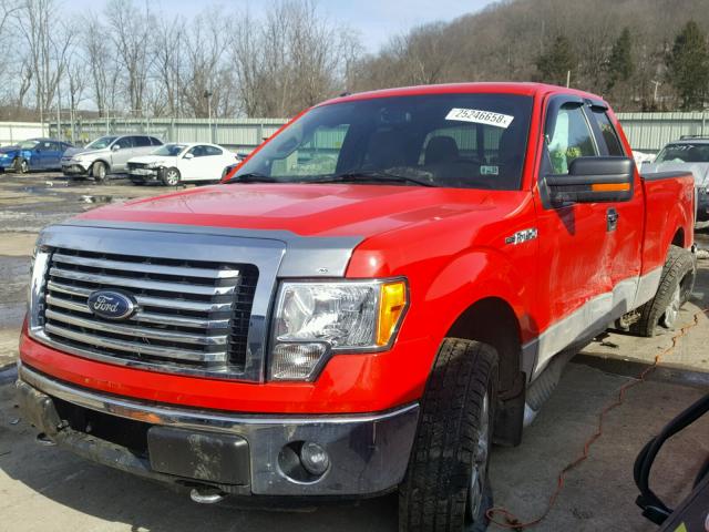 1FTFX1EF2CFB07495 - 2012 FORD F150 SUPER RED photo 2