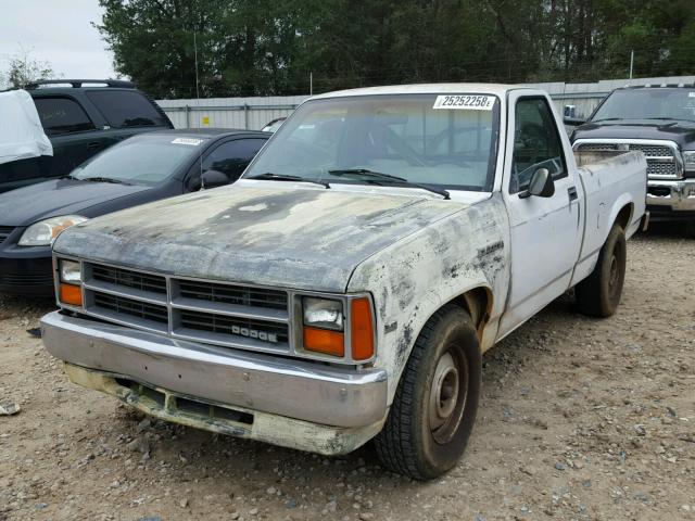 1B7GN14X7JS718647 - 1988 DODGE DAKOTA WHITE photo 2